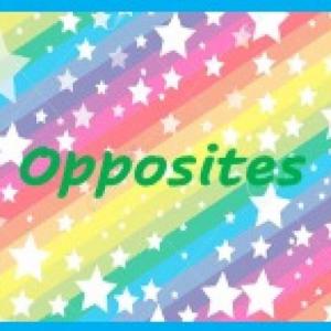 Opposites Game