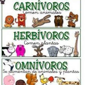 ALIMENTACIÓN DE LOS ANIMALES