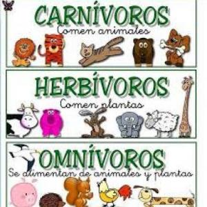ALIMENTACIÓN DE LOS ANIMALES