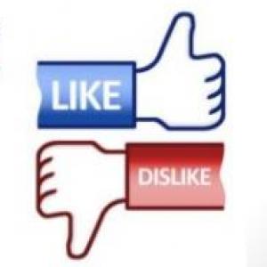 LIKES AND DISLIKES