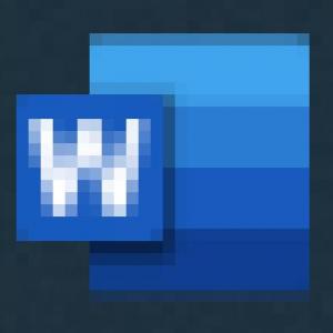 MS Word