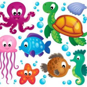 Animales Marinos