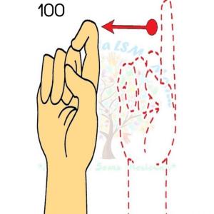 Números LSM 10 - 100