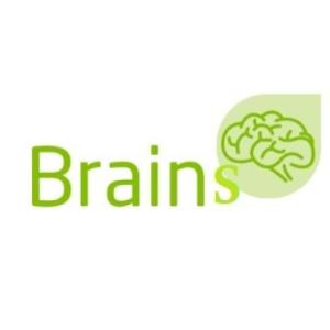 HOW MUCH WE REMEMBER... REVISION 2022 - BRAINS