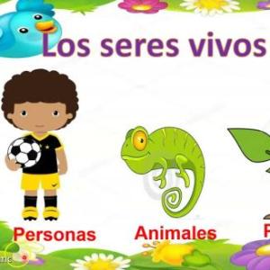 Imagen de portada del videojuego educativo: Los seres vivos e inertes , de la temática Ciencias