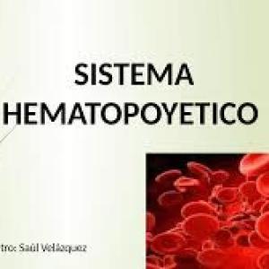 Duchazo para aprender