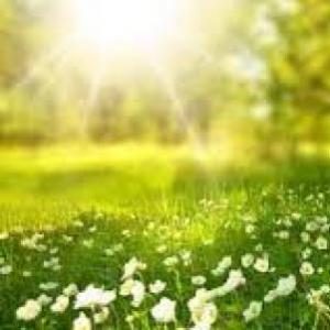 Naturaleza