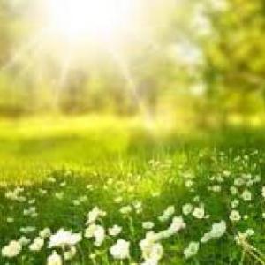 Naturaleza