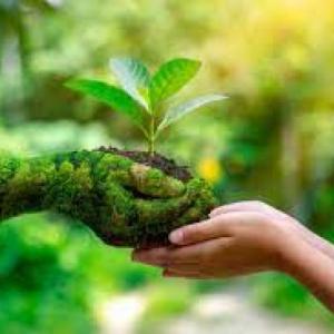 NATURALEZA