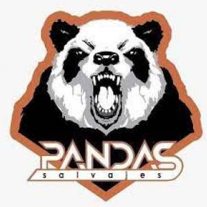 Pandas Salvajes