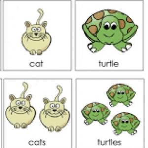 Find the plural!