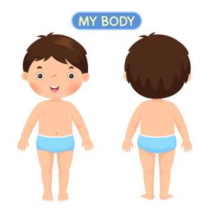 Part of the body