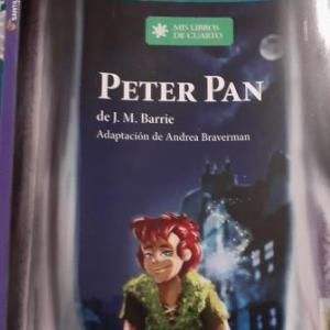 Imagen de portada del videojuego educativo: TRIVIA DE PETER PAN, de la temática Literatura
