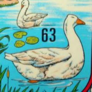 Juego de La Oca (Un poco de Todo)