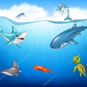 Animales marinos