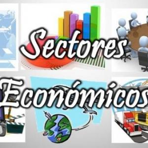 Sectores Económicos