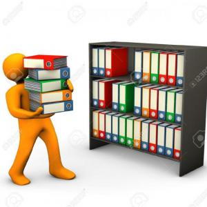 Organización de archivos de gestión