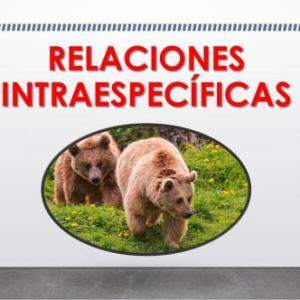 RELACIONES INTRAESPECÍFICAS
