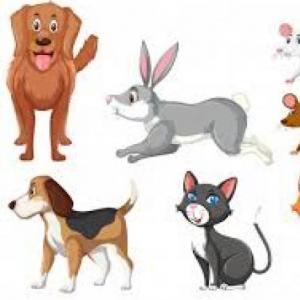 Los animales domésticos