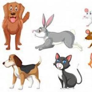 Animales domésticos