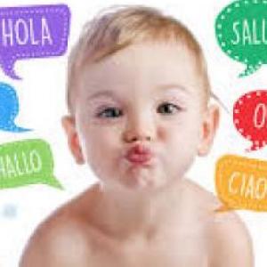 Conceptos desarrollo del lenguaje
