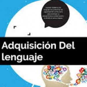 Enfoques adquisición del lenguaje