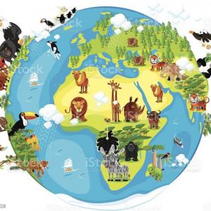ANIMALES