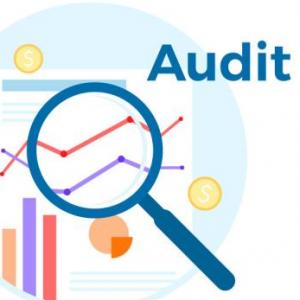 Trivia TaxAudit3