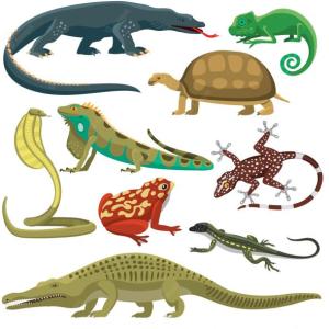 Los animales reptiles