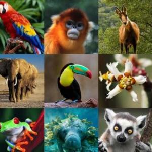 Exploración de la Naturaleza.