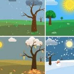 Imagen de portada del videojuego educativo: Las estaciones del año , de la temática Ciencias