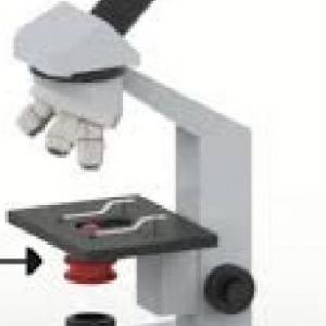 MICROSCOPIO