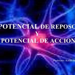 Potencial de reposo y acción