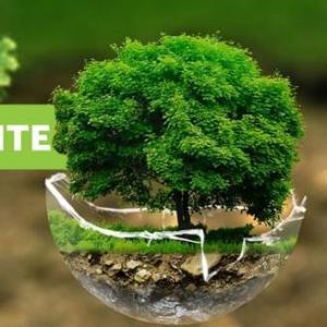 Environmental pollution