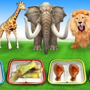 Food and Wild Animals Tiger 2