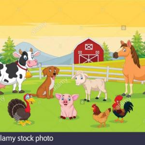 Farm animals