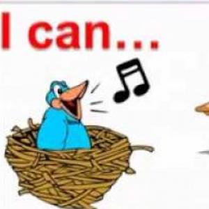 CAN AND CAN'T 