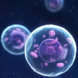 Aprende Ciencias