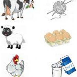 emparejo los animales y sus  productos