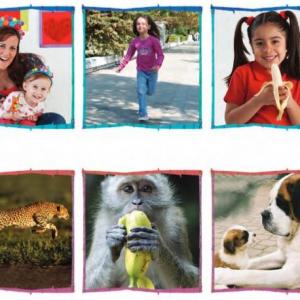 SEMEJANZAS ENTRE ANIMALES Y SERES HUMANOS