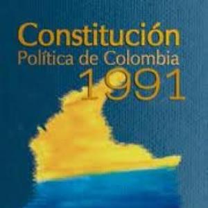 Constitución política y derechos humanos