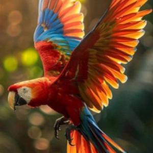 El cuidado de las aves y su importancia
