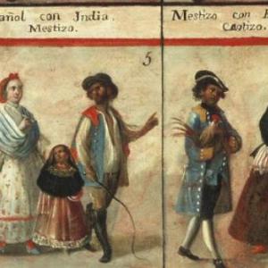 Aspectos de la Movilidad Social Indiana en la Nueva España S. XVI-XVII