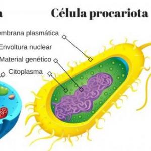 BIOLOGIA GENERAL