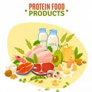 Las proteínas 
