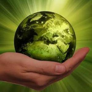 5 de junio Dia del medio ambiente