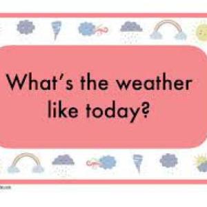 WHAT IS THE WEATHER LIKE?