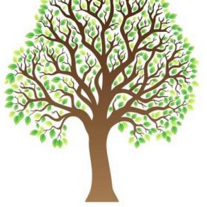 Árbol de problemas y objetivos