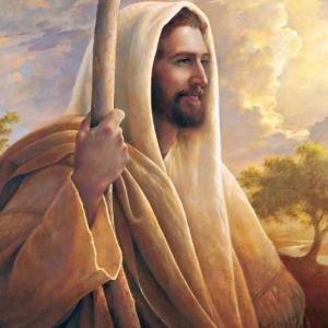 ¿Qué sabes de Jesús?