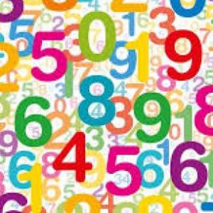 THE NUMBERS